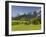 Ramsau, Dachstein, Summer Meadow, Styria, Austria-Rainer Mirau-Framed Photographic Print