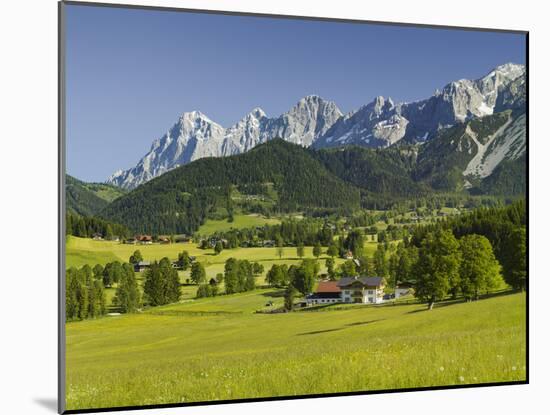 Ramsau, Dachstein, Summer Meadow, Styria, Austria-Rainer Mirau-Mounted Photographic Print