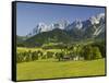 Ramsau, Dachstein, Summer Meadow, Styria, Austria-Rainer Mirau-Framed Stretched Canvas