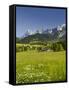 Ramsau, Dachstein, Summer Meadow, Styria, Austria-Rainer Mirau-Framed Stretched Canvas