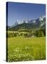 Ramsau, Dachstein, Summer Meadow, Styria, Austria-Rainer Mirau-Stretched Canvas