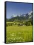 Ramsau, Dachstein, Summer Meadow, Styria, Austria-Rainer Mirau-Framed Stretched Canvas