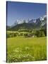 Ramsau, Dachstein, Summer Meadow, Styria, Austria-Rainer Mirau-Stretched Canvas