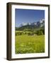 Ramsau, Dachstein, Summer Meadow, Styria, Austria-Rainer Mirau-Framed Photographic Print