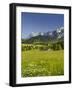 Ramsau, Dachstein, Summer Meadow, Styria, Austria-Rainer Mirau-Framed Photographic Print