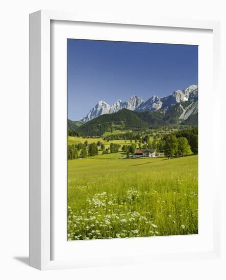 Ramsau, Dachstein, Summer Meadow, Styria, Austria-Rainer Mirau-Framed Photographic Print