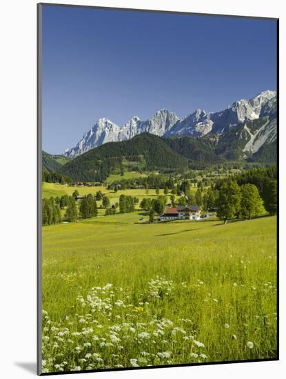 Ramsau, Dachstein, Summer Meadow, Styria, Austria-Rainer Mirau-Mounted Photographic Print