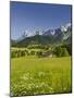 Ramsau, Dachstein, Summer Meadow, Styria, Austria-Rainer Mirau-Mounted Photographic Print