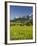 Ramsau, Dachstein, Summer Meadow, Styria, Austria-Rainer Mirau-Framed Photographic Print