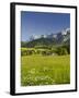 Ramsau, Dachstein, Summer Meadow, Styria, Austria-Rainer Mirau-Framed Photographic Print