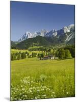 Ramsau, Dachstein, Summer Meadow, Styria, Austria-Rainer Mirau-Mounted Photographic Print