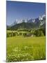 Ramsau, Dachstein, Summer Meadow, Styria, Austria-Rainer Mirau-Mounted Photographic Print