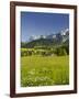 Ramsau, Dachstein, Summer Meadow, Styria, Austria-Rainer Mirau-Framed Photographic Print