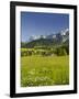 Ramsau, Dachstein, Summer Meadow, Styria, Austria-Rainer Mirau-Framed Photographic Print