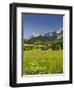 Ramsau, Dachstein, Summer Meadow, Styria, Austria-Rainer Mirau-Framed Photographic Print