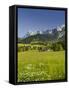 Ramsau, Dachstein, Summer Meadow, Styria, Austria-Rainer Mirau-Framed Stretched Canvas