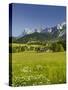 Ramsau, Dachstein, Summer Meadow, Styria, Austria-Rainer Mirau-Stretched Canvas