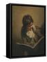 Framed Canvas