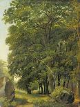 A Wooded Landscape (Oil on Paper on Panel)-Ramsay Richard Reinagle-Giclee Print