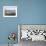 Ramsey Island, Whitesands Bay and St. Davids Head From Carn Llidi, Pembrokeshire National Park-Peter Barritt-Framed Photographic Print displayed on a wall