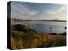 Ramsey Sound from St. Justinian's, Pembrokeshire Coast National Park, Wales, United Kingdom-Rob Cousins-Stretched Canvas