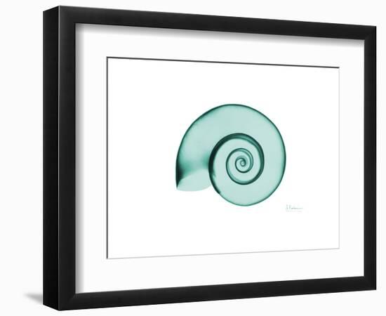 Ramshorn Snail Shell-Albert Koetsier-Framed Premium Giclee Print