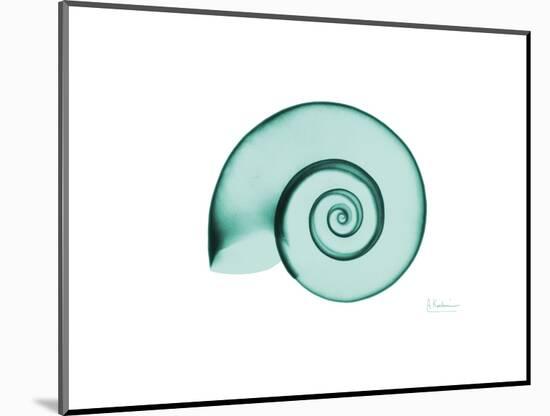 Ramshorn Snail Shell-Albert Koetsier-Mounted Premium Giclee Print