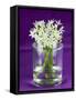 Ramsons (Wild Garlic) Flowers in a Glass-Sara Jones-Framed Stretched Canvas