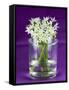 Ramsons (Wild Garlic) Flowers in a Glass-Sara Jones-Framed Stretched Canvas