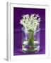 Ramsons (Wild Garlic) Flowers in a Glass-Sara Jones-Framed Photographic Print