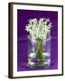 Ramsons (Wild Garlic) Flowers in a Glass-Sara Jones-Framed Photographic Print