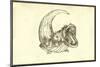 Rana Piscatrix Ala Feu Bufo Marinus-Ulisse Aldrovandi-Mounted Art Print