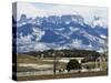 Ranch Below Peaks of the San Juan Mountains, Colorado, United States of America, North America-Kober Christian-Stretched Canvas