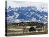 Ranch Below Peaks of the San Juan Mountains, Colorado, United States of America, North America-Kober Christian-Stretched Canvas