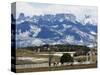 Ranch Below Peaks of the San Juan Mountains, Colorado, United States of America, North America-Kober Christian-Stretched Canvas