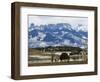 Ranch Below Peaks of the San Juan Mountains, Colorado, United States of America, North America-Kober Christian-Framed Photographic Print
