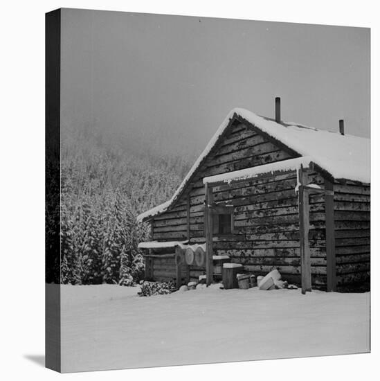 Ranch House after early Fall Blizzard, near Aspen, Colorado, 1941-Marion Post Wolcott-Stretched Canvas