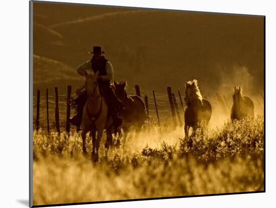 Ranch Living at The Ponderosa Ranch, Seneca, Oregon, USA-Joe Restuccia III-Mounted Premium Photographic Print