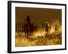 Ranch Living at The Ponderosa Ranch, Seneca, Oregon, USA-Joe Restuccia III-Framed Photographic Print