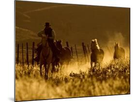 Ranch Living at The Ponderosa Ranch, Seneca, Oregon, USA-Joe Restuccia III-Mounted Photographic Print