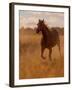 Ranch Living at The Ponderosa Ranch, Seneca, Oregon, USA-Joe Restuccia III-Framed Photographic Print