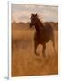 Ranch Living at The Ponderosa Ranch, Seneca, Oregon, USA-Joe Restuccia III-Framed Photographic Print