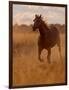 Ranch Living at The Ponderosa Ranch, Seneca, Oregon, USA-Joe Restuccia III-Framed Photographic Print