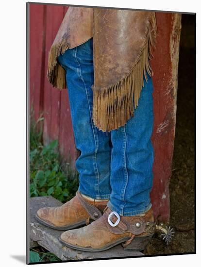 Ranch Living at The Ponderosa Ranch, Seneca, Oregon, USA-Joe Restuccia III-Mounted Photographic Print