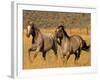 Ranch Living at The Ponderosa Ranch, Seneca, Oregon, USA-Joe Restuccia III-Framed Photographic Print