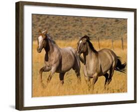 Ranch Living at The Ponderosa Ranch, Seneca, Oregon, USA-Joe Restuccia III-Framed Photographic Print