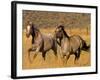 Ranch Living at The Ponderosa Ranch, Seneca, Oregon, USA-Joe Restuccia III-Framed Photographic Print