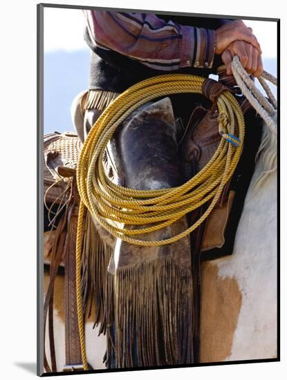 Ranch Living at The Ponderosa Ranch, Seneca, Oregon, USA-Joe Restuccia III-Mounted Photographic Print