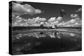 Ranch Pond, New Mexico-Steve Gadomski-Stretched Canvas