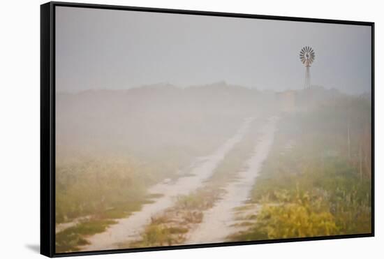 Ranch Road and Windmill in Fog, Texas, USA-Larry Ditto-Framed Stretched Canvas